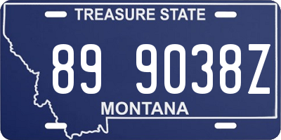 MT license plate 899038Z