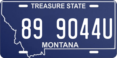 MT license plate 899044U