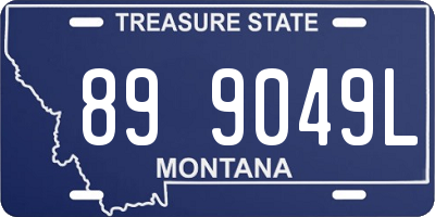 MT license plate 899049L