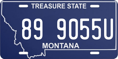 MT license plate 899055U