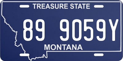 MT license plate 899059Y