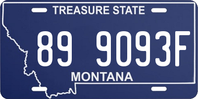 MT license plate 899093F