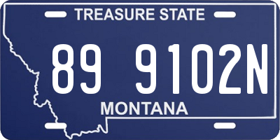 MT license plate 899102N