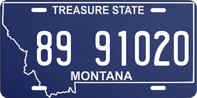 MT license plate 899102O