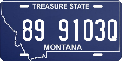 MT license plate 899103Q