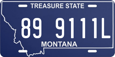 MT license plate 899111L