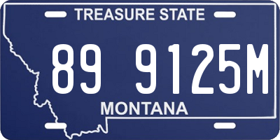 MT license plate 899125M