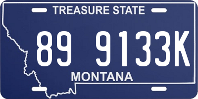 MT license plate 899133K