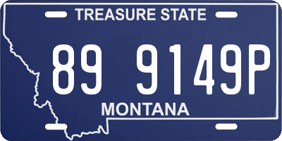 MT license plate 899149P