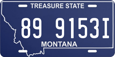 MT license plate 899153I