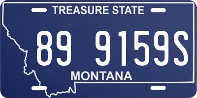 MT license plate 899159S