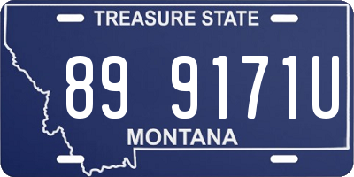 MT license plate 899171U