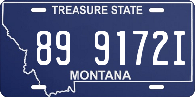 MT license plate 899172I
