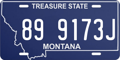 MT license plate 899173J