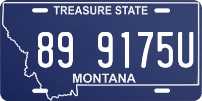 MT license plate 899175U