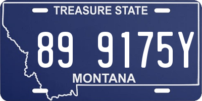 MT license plate 899175Y