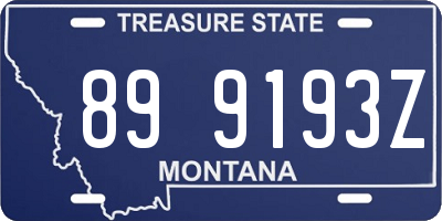 MT license plate 899193Z