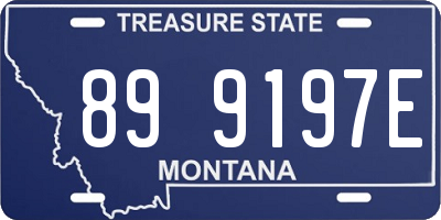 MT license plate 899197E
