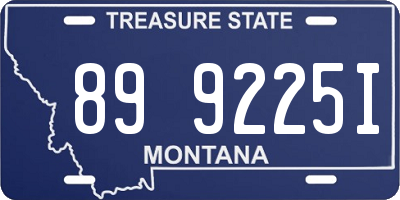 MT license plate 899225I