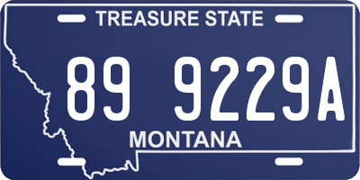 MT license plate 899229A