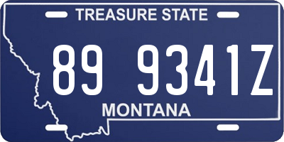 MT license plate 899341Z