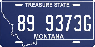 MT license plate 899373G
