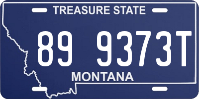 MT license plate 899373T