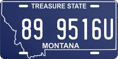 MT license plate 899516U