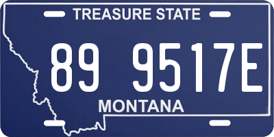 MT license plate 899517E