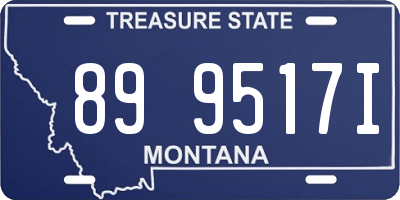 MT license plate 899517I