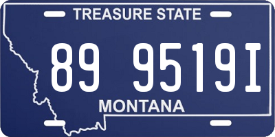 MT license plate 899519I