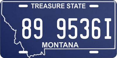 MT license plate 899536I
