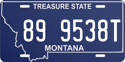 MT license plate 899538T