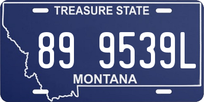 MT license plate 899539L
