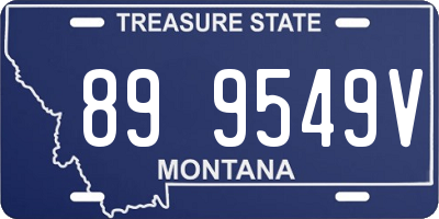 MT license plate 899549V