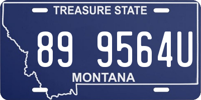 MT license plate 899564U