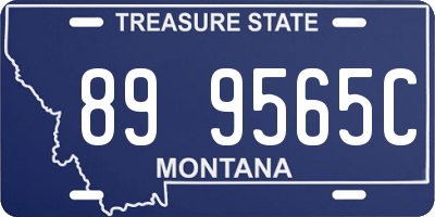 MT license plate 899565C
