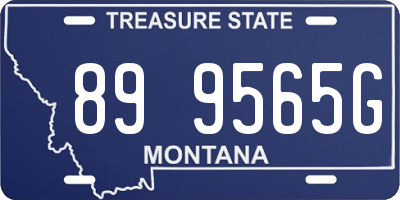 MT license plate 899565G