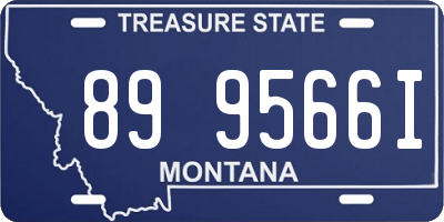 MT license plate 899566I
