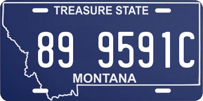 MT license plate 899591C