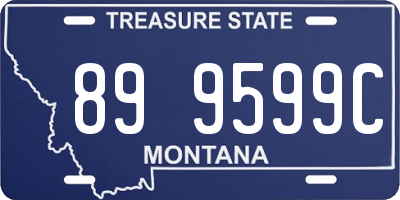 MT license plate 899599C