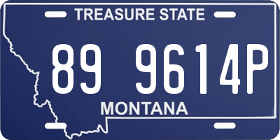 MT license plate 899614P