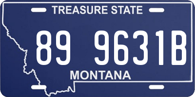 MT license plate 899631B