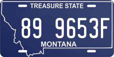 MT license plate 899653F