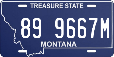 MT license plate 899667M
