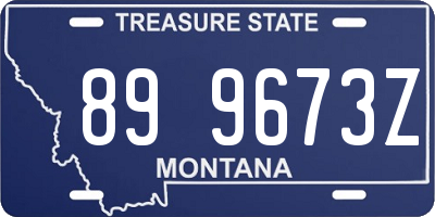 MT license plate 899673Z