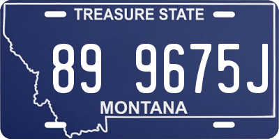 MT license plate 899675J