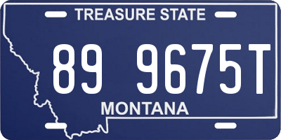 MT license plate 899675T