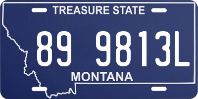 MT license plate 899813L