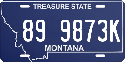 MT license plate 899873K